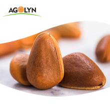 AGOLYN Top quality 100%Pure Natural Pine Nut in Shell